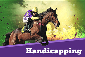 Horse racing handicapping